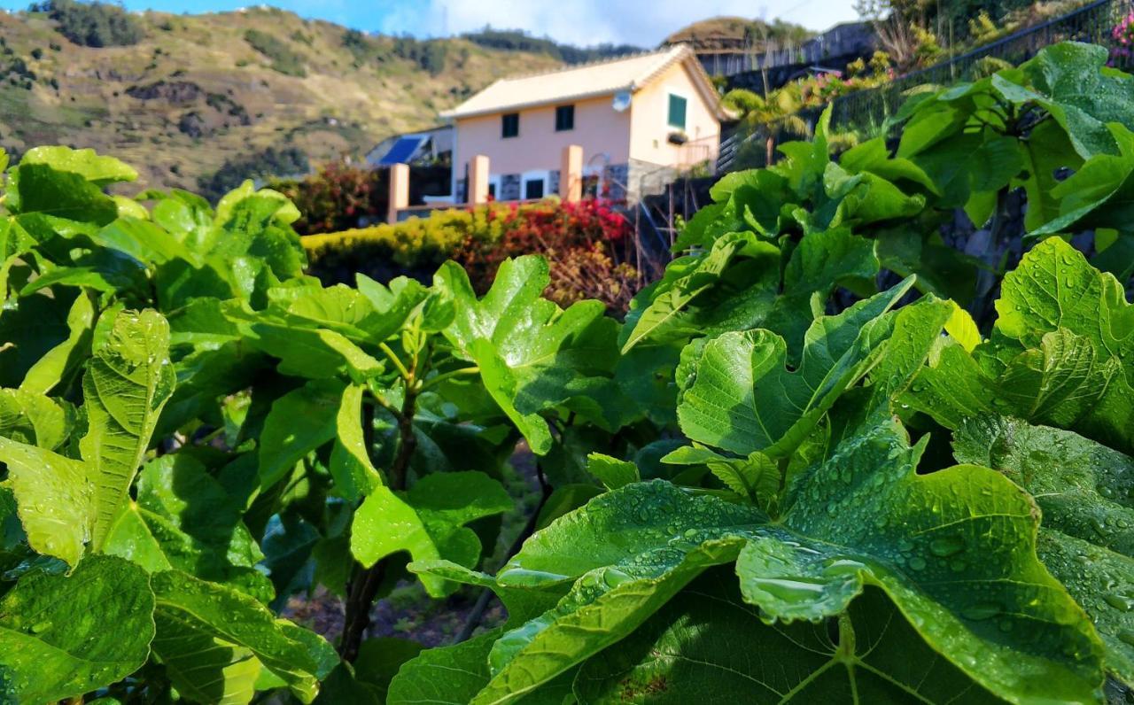Villa Quinta Terezinha Ribeira Brava Esterno foto