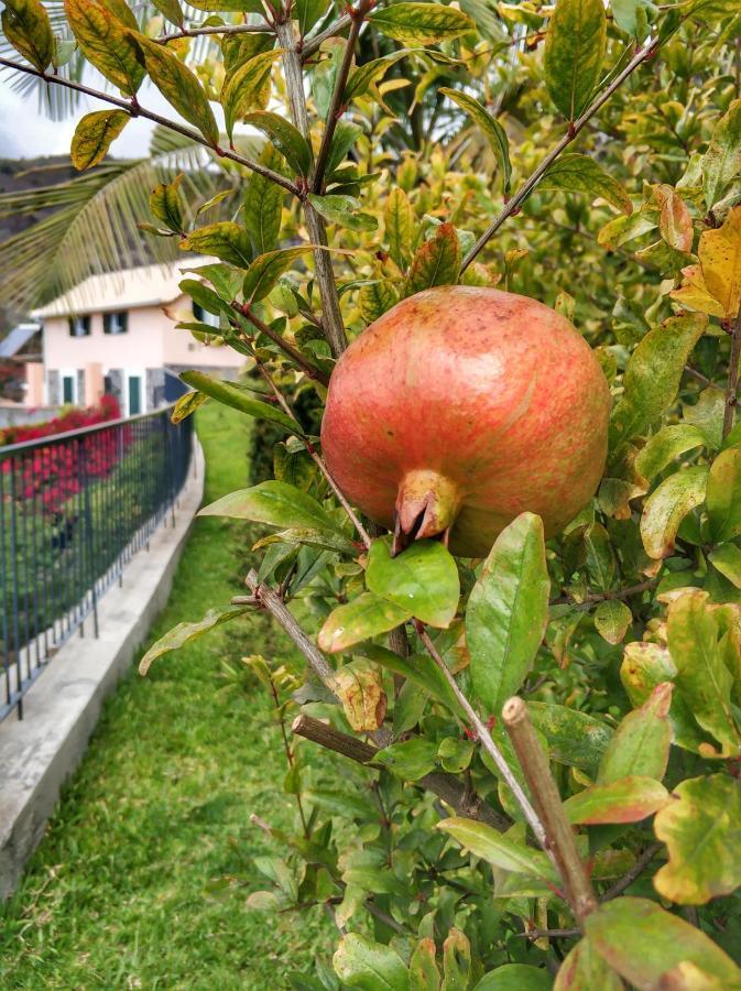 Villa Quinta Terezinha Ribeira Brava Esterno foto